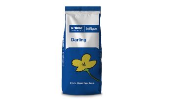   InVigor® Darling